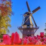 Netherlands proposes legal framework for electronic bills of lading, industry experts respond 