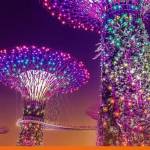 Asia Pacific’s ascent—and its uneven terrain