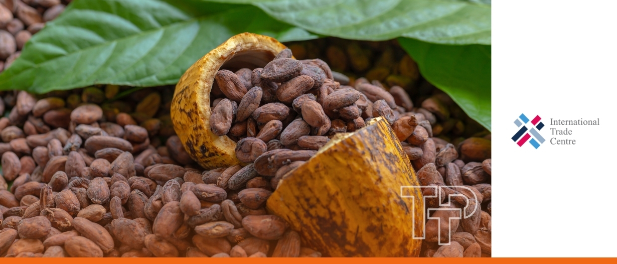 VIDEO | Building Africa’s first solar-po...