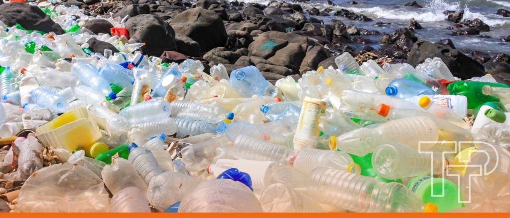 global plastic pollution