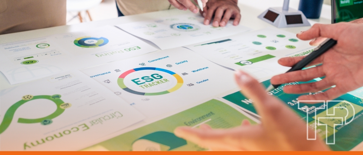 VIDEO | SROI: Measuring impact beyond ES...