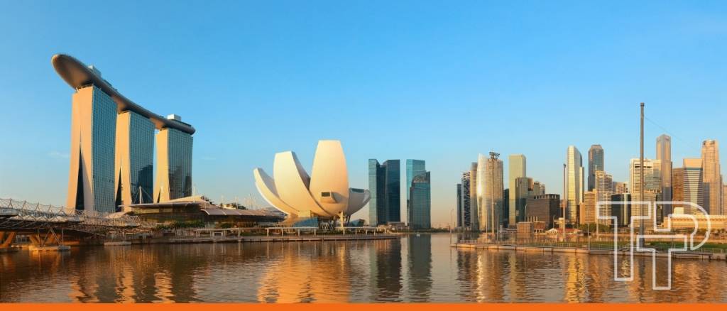 Singapore, the UAE, and others form a new trade alliance amid global uncertainty