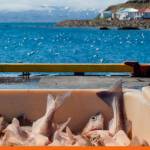 WTO Fisheries Agreement takes effect