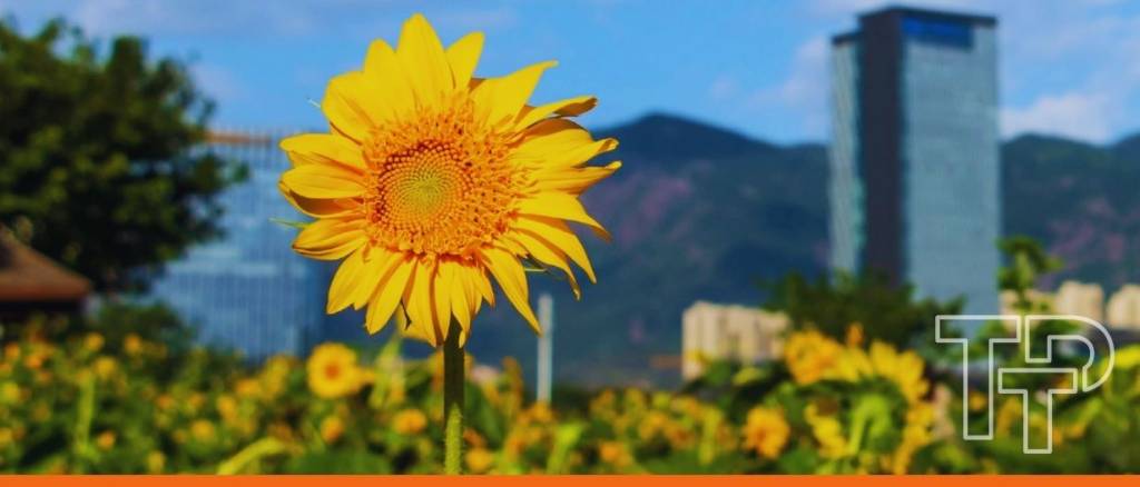 The future of trade is resilience, says ...